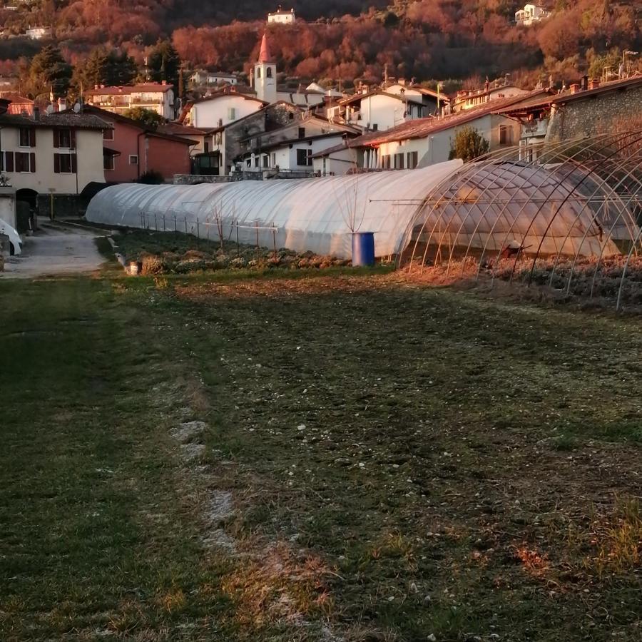 Agriturismo Corte Fontana App. Barbara سالو المظهر الخارجي الصورة